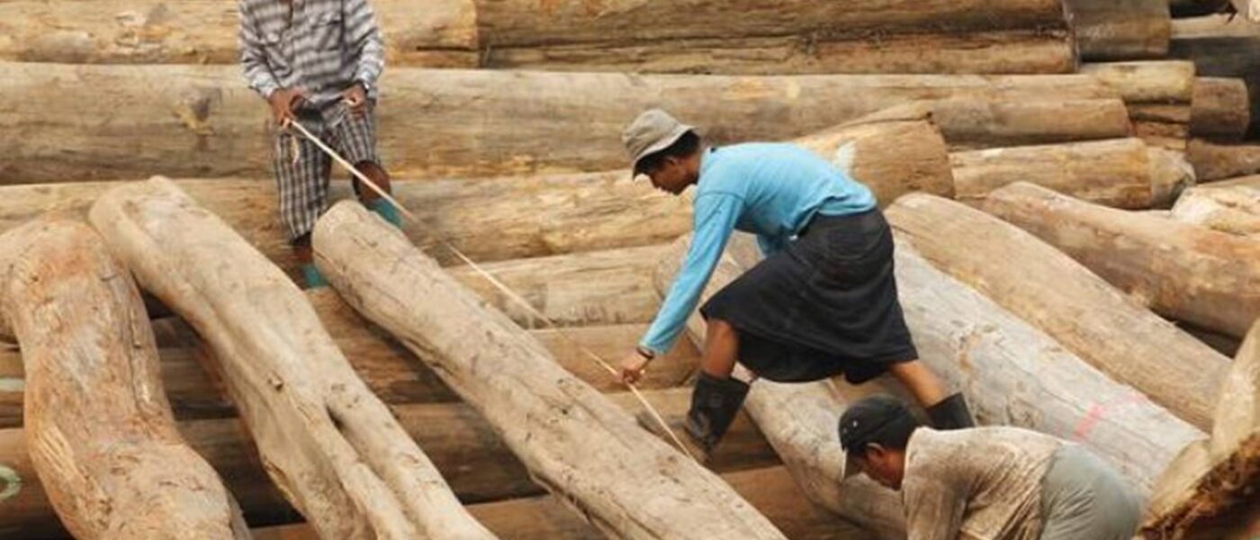 Myanmar’s Dirty Timber getting into EU