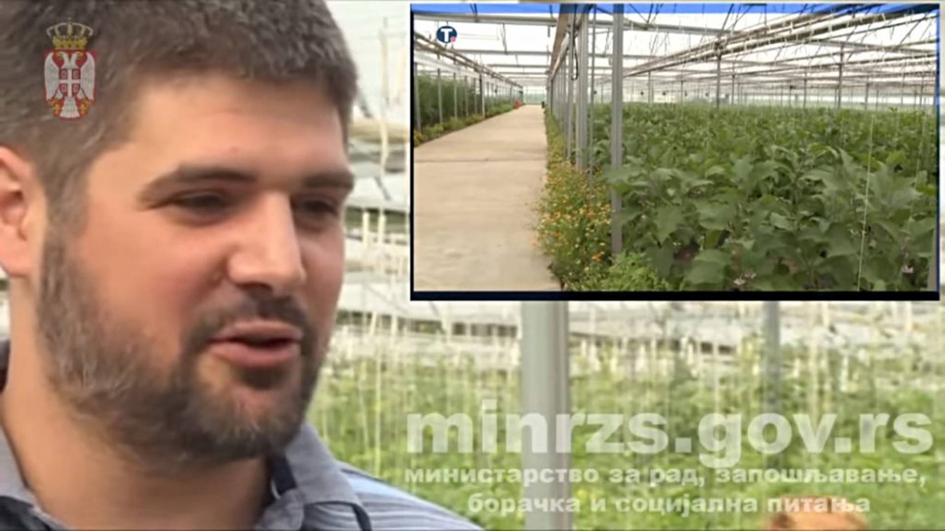 BIRN otkrio Koluvijine plantaže marihuane u Makedoniji