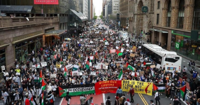 New York, protesti, Palestina
