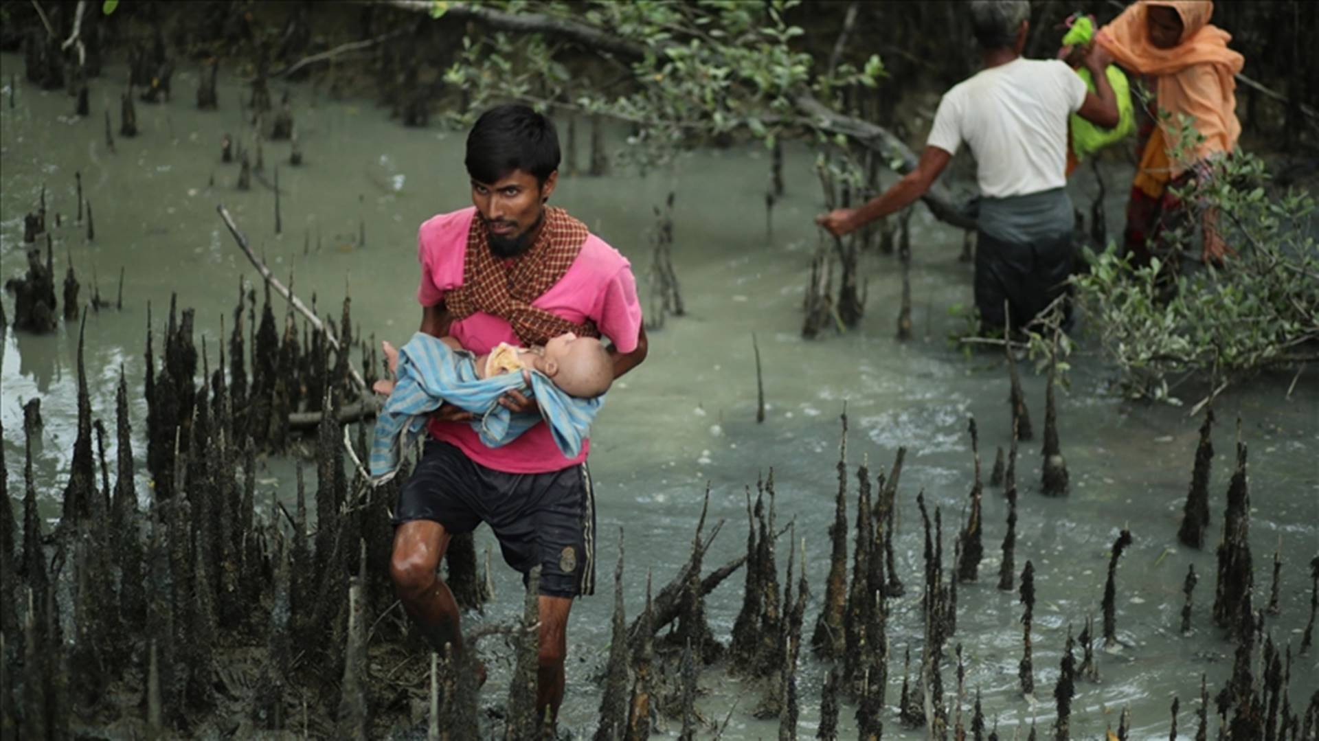 Genocide of Rohingya shows no sign of abating: Report