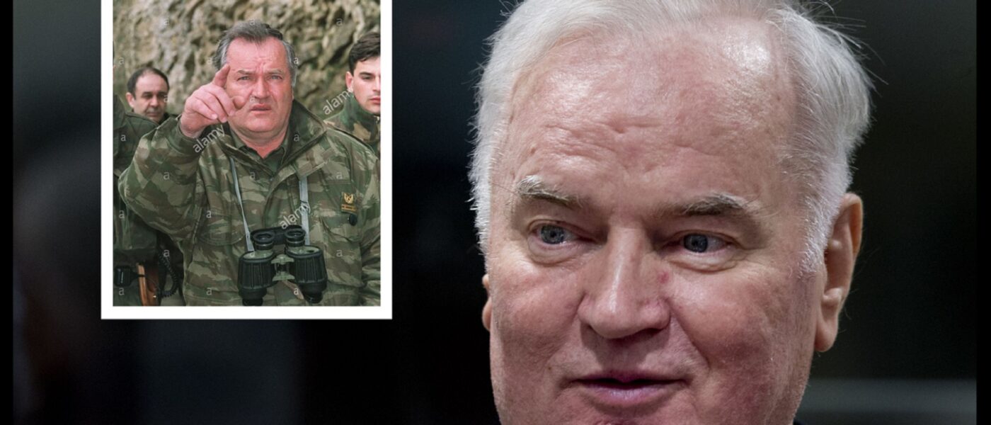 Ratko Mladić, presuda, ratni zločin