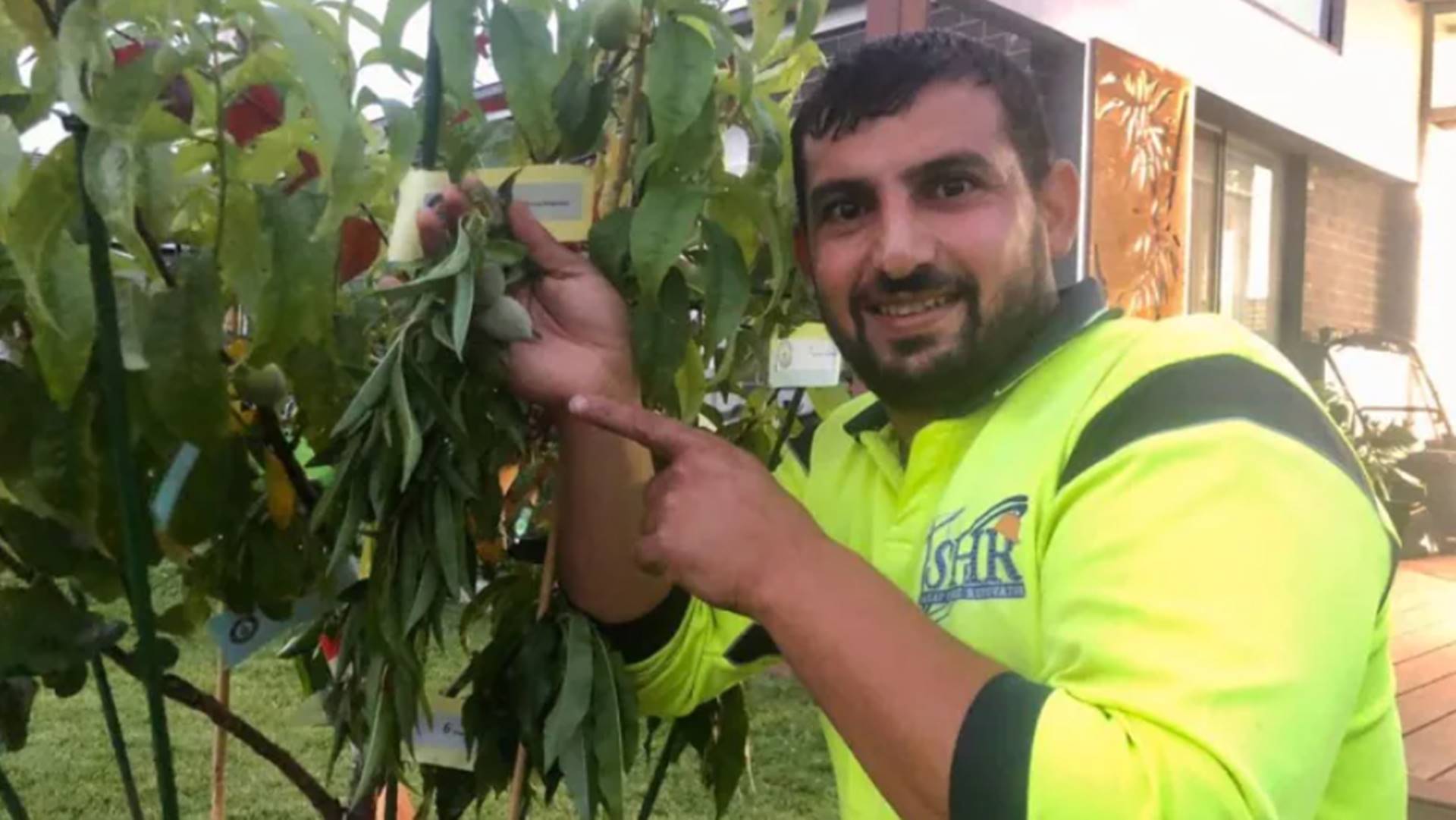 This man won a Guinness World Record for his tree that bears 10 types of fruit