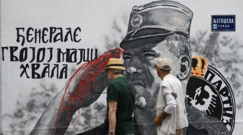 Mural, Ratko Mladic, Njegoševa, MUP Srbije, protesti, zabana,YIHR