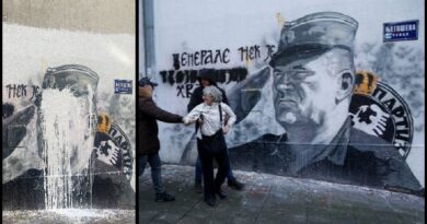 Ratko Mladić, mural, prefaban, očišćen, Nataša Kandić