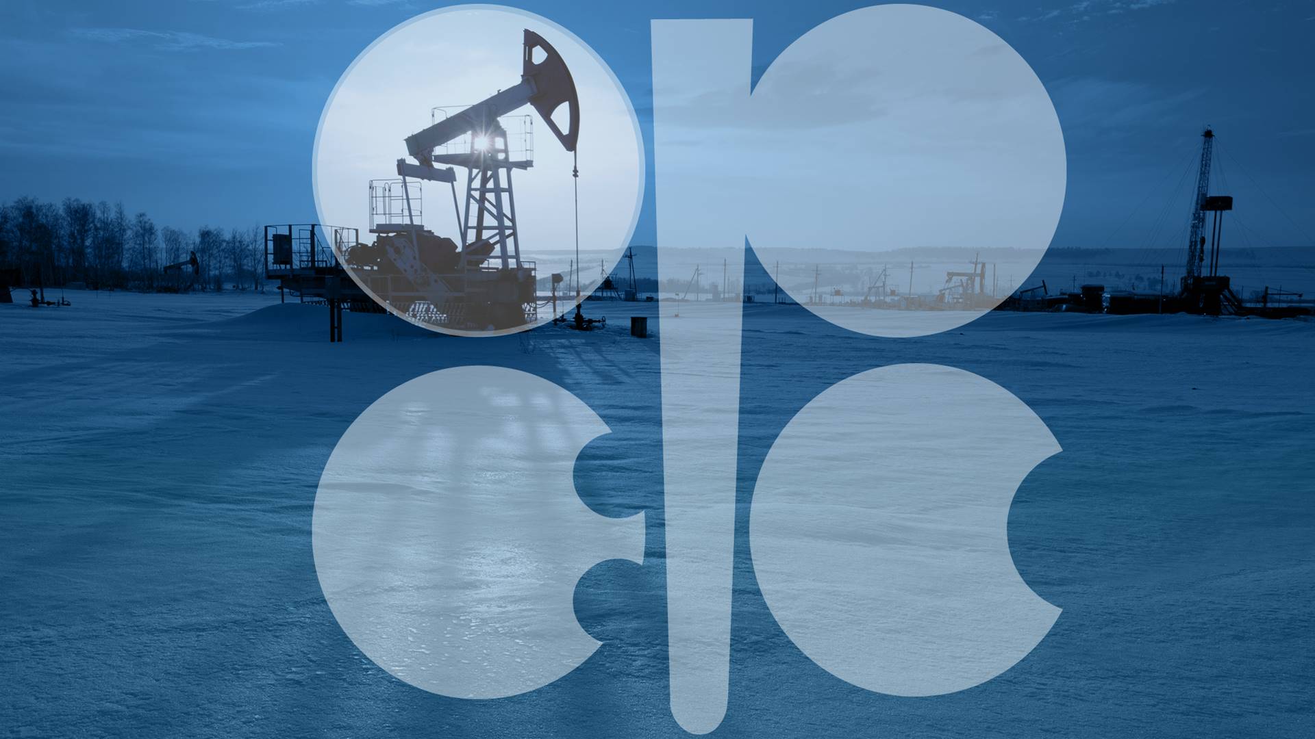 Oil markets polarized as OPEC brushes off Omicron fears but investors stay wary