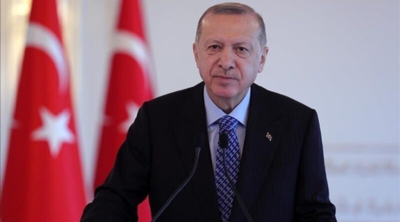 Erdogan, Dezinformisanje, globalna -prijetnja