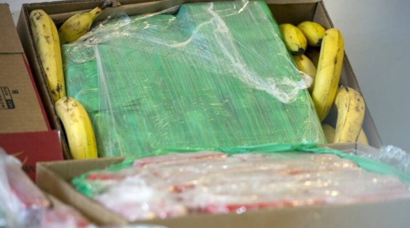 'Kokainske' banane ponovo zaplijenjene u Crnoj Gori
