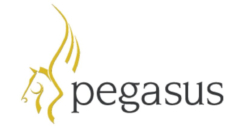 Poljska priznala da ima špijunski Pegasus software