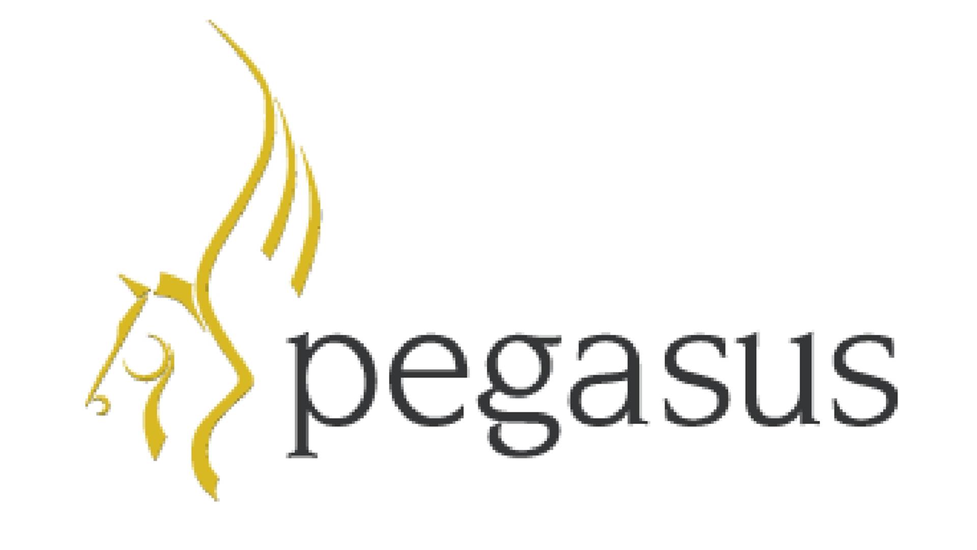 Poljska priznala da ima špijunski Pegasus software