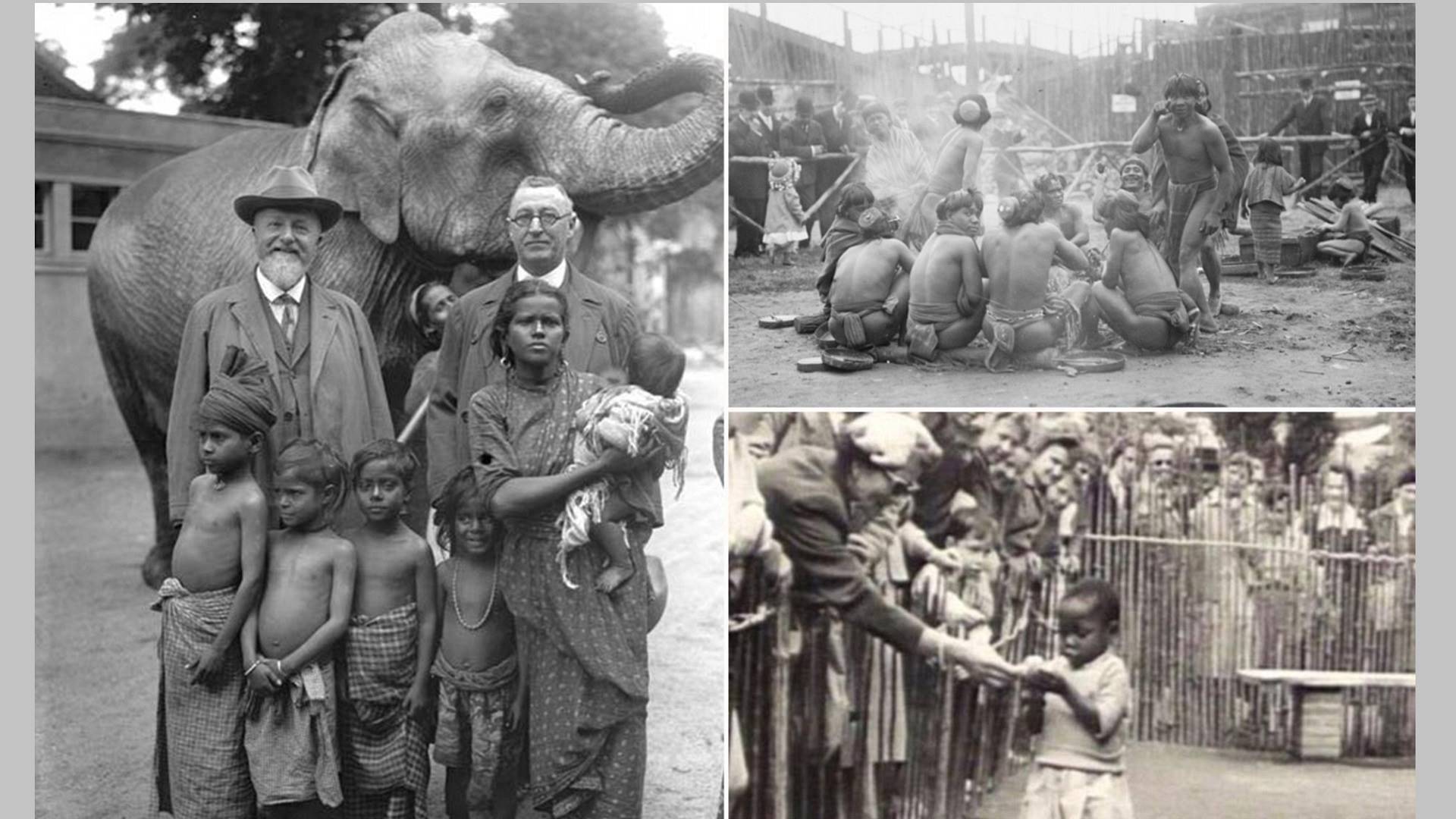 Evropa nije nevina: U Belgiji sve do1958. bio otvoren ‘ljudski zoološki vrt', u kom su držali crnce