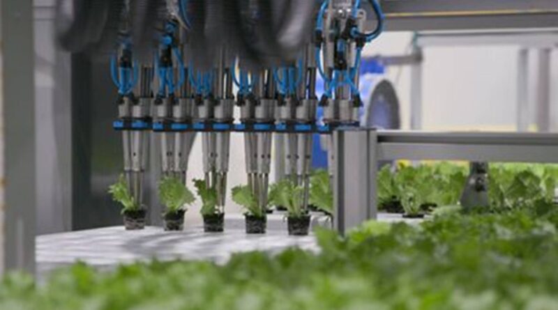 The first fully automated farms