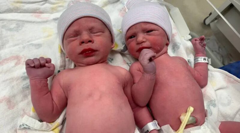 Twins born 30 years after they were frozen as embryos