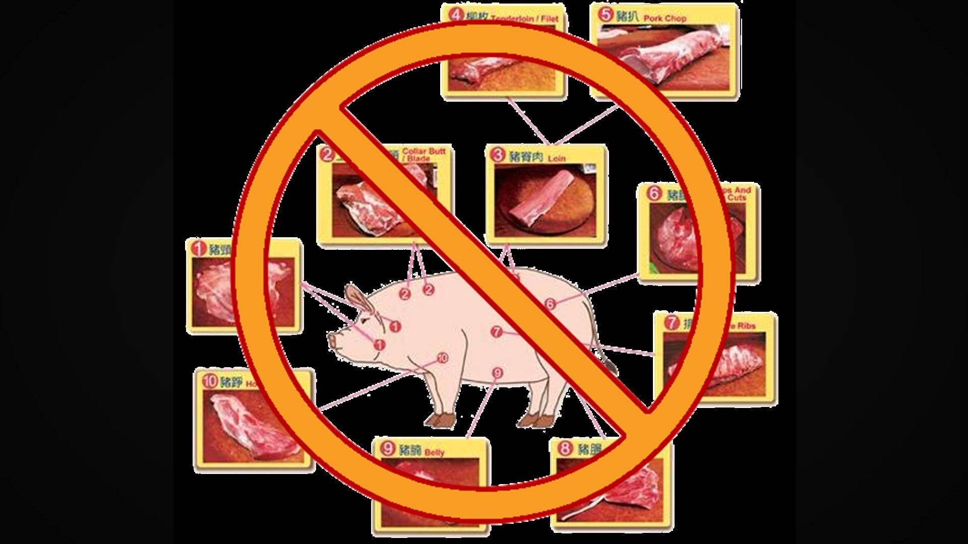 Dr. Josh Axe, DC, DNM, CN: Why You Should Avoid Pork