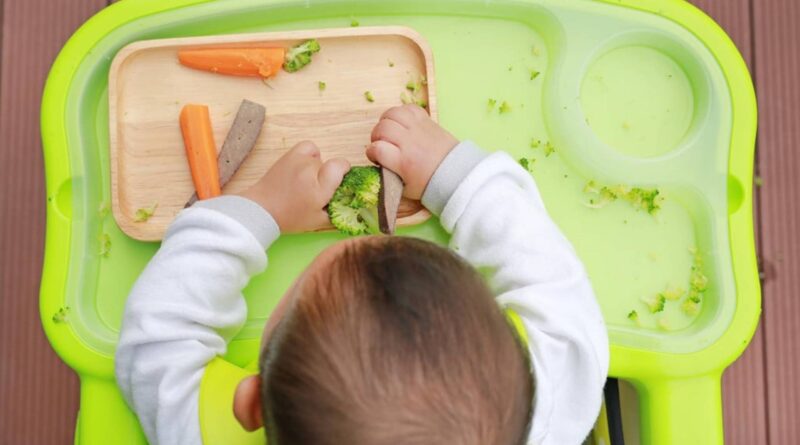 Bebama koje roditelji hrane veganskom prehranom prijete ozbiljni zdravstveni problemi