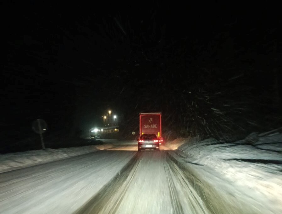 Romanijski gaj (Foto: Čitatelj)