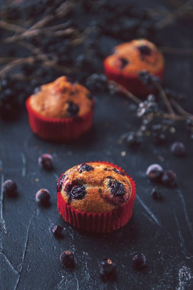 muffin with currants on a dark background next to the berries on the branches. in a rustic style. dark style